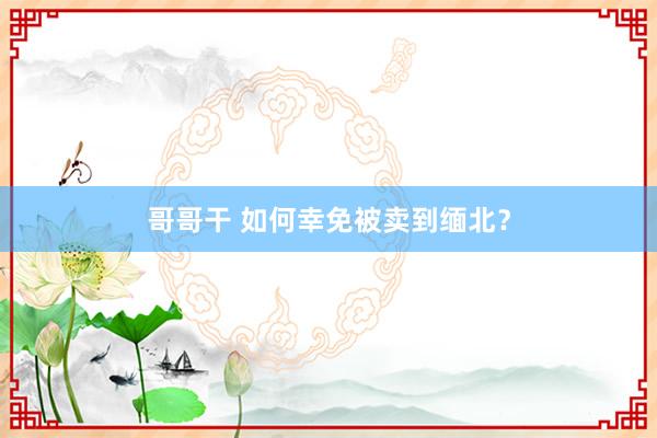 哥哥干 如何幸免被卖到缅北？