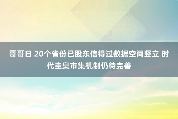 哥哥日 20个省份已股东信得过数据空间竖立 时代圭臬市集机制仍待完善